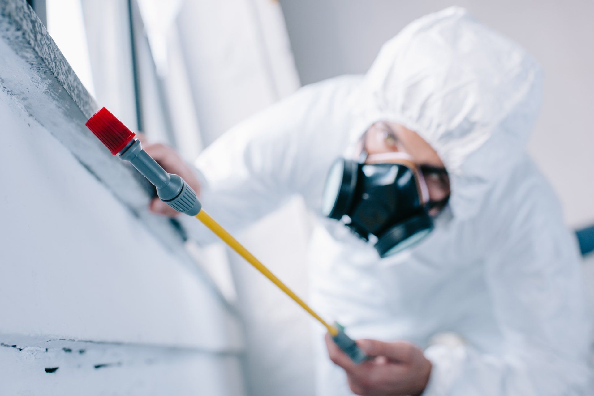 Technician applying an antiviral sanitisation treatment